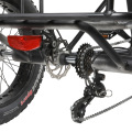 Bafang Brushless Motor Ebike with 3 Wheels Big Loading